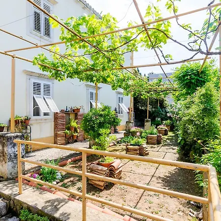 Ivana 杜布罗夫尼克