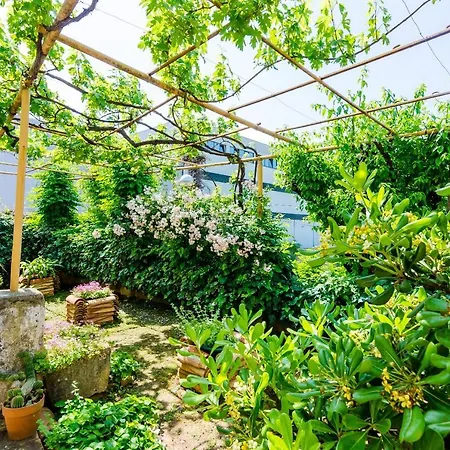 شقة Ivana *
